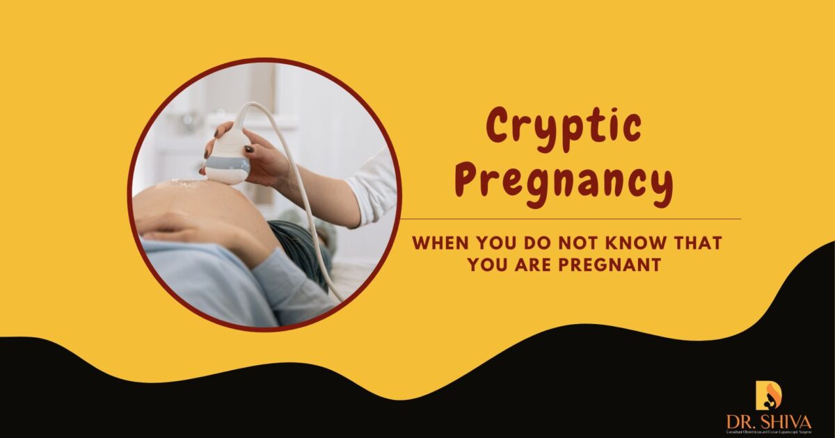 Expert Warns Against Misconceptions, Scams Around Cryptic Pregnancy ...